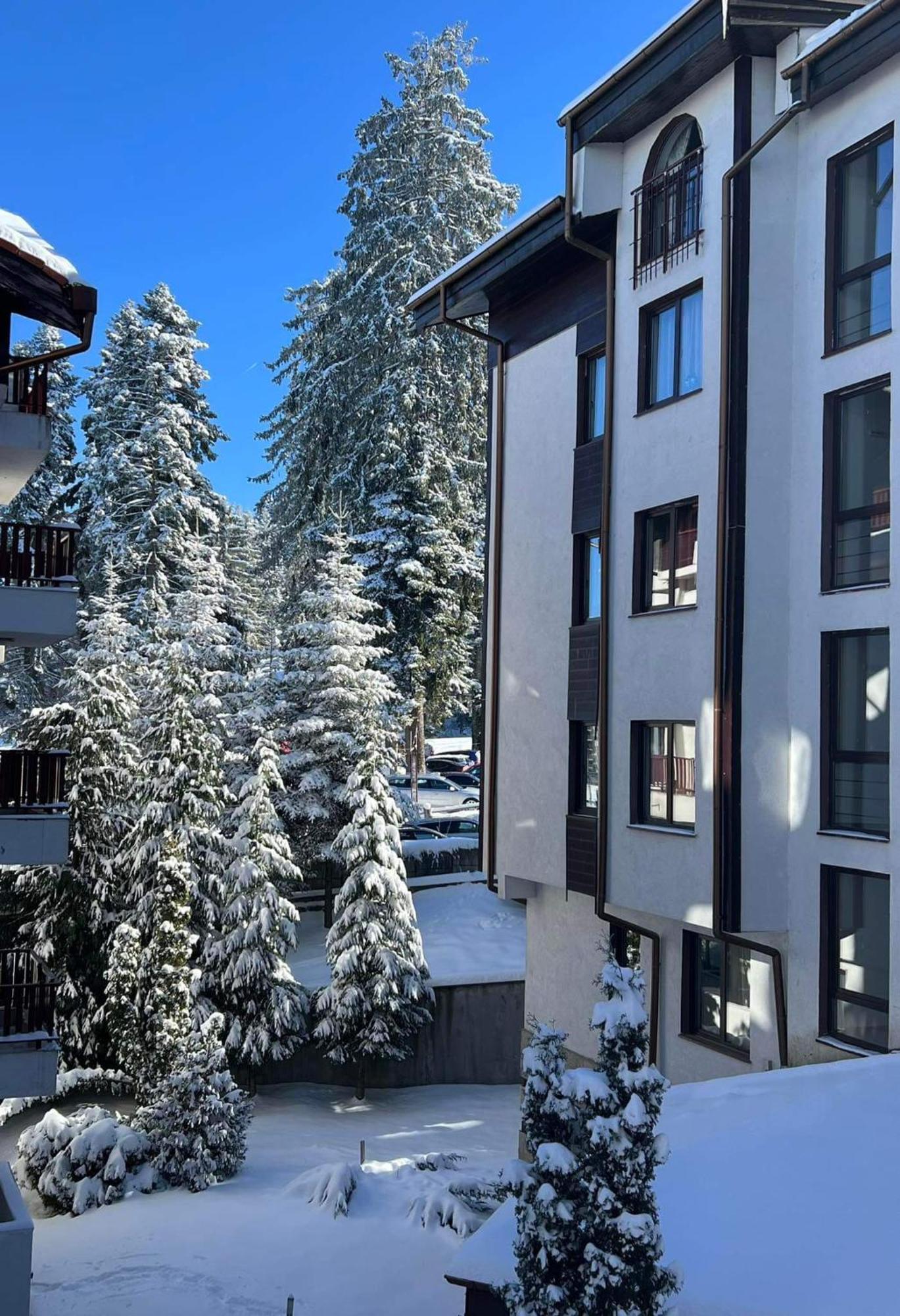 Arboro Flora Residence Studio Боровец Экстерьер фото