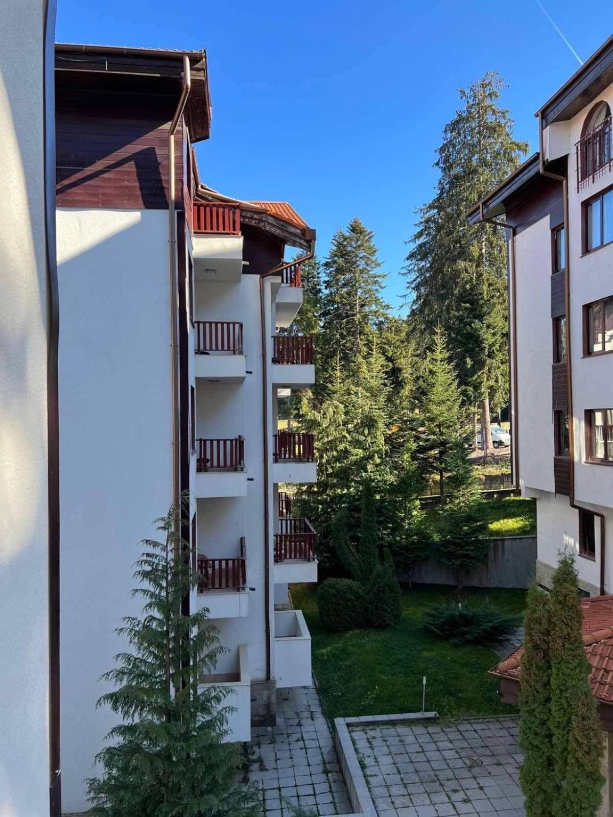 Arboro Flora Residence Studio Боровец Экстерьер фото